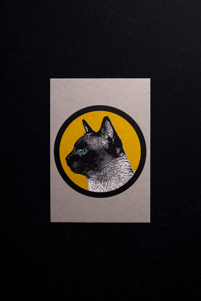 Circle cat - postcard - originální pohlednice Medium