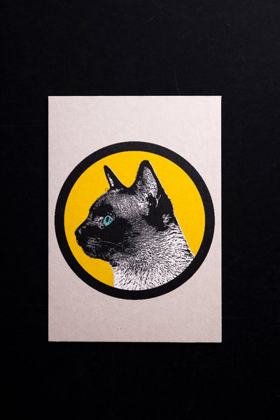 Circle cat - postcard - originální pohlednice XL