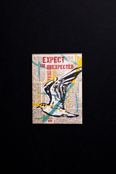 Seagull - postcard - originální pohlednice Small