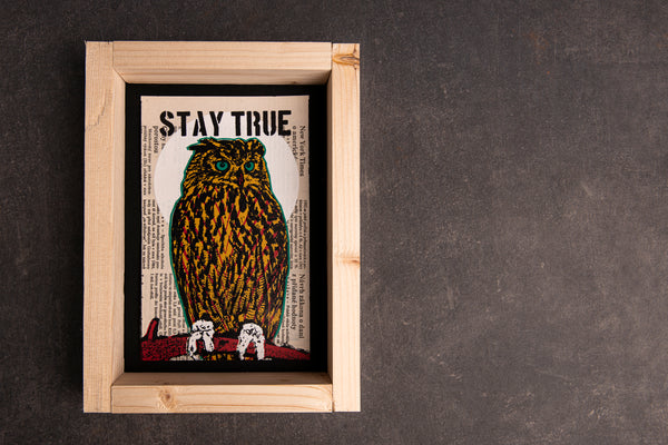 STAY OWL original print with frame M originální obrázek