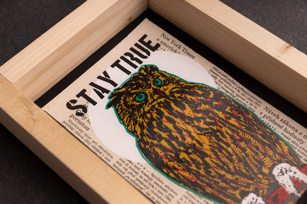 STAY OWL original print with frame M originální obrázek