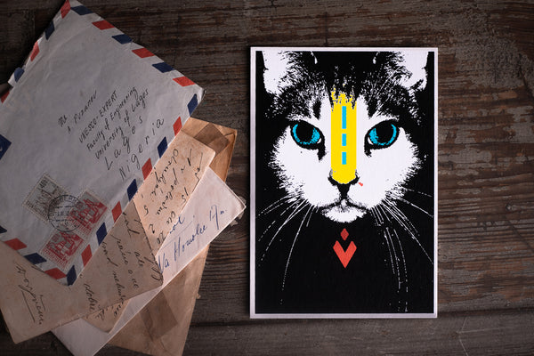 Cat - postcard - originální pohlednice Medium