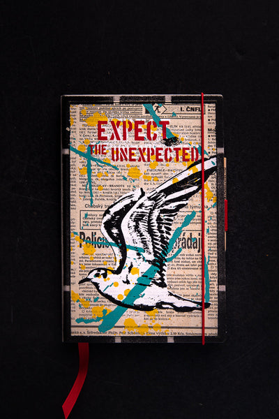 Expect the unexpected (seagull) - medium notebook originální zápisník