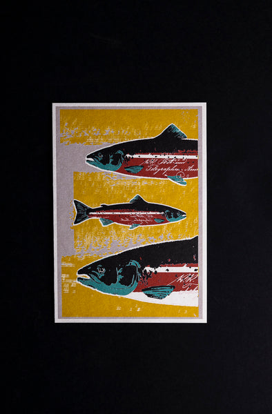 Salmon - postcard - originální pohlednice Medium