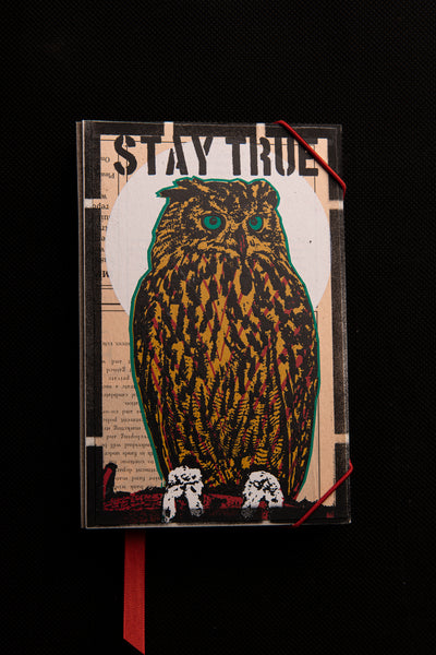 STAY OWL - small originální zápisník