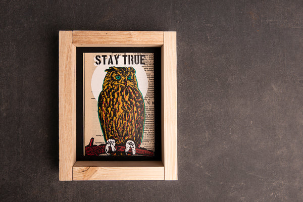 STAY OWL original print with frame S originální obrázek