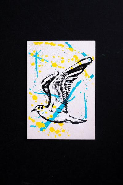 Seagull - postcard - originální pohlednice
