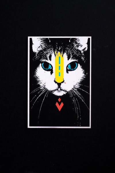 Cat - postcard - originální pohlednice