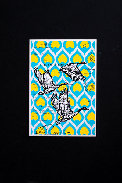 Wild goose - postcard - originální pohlednice