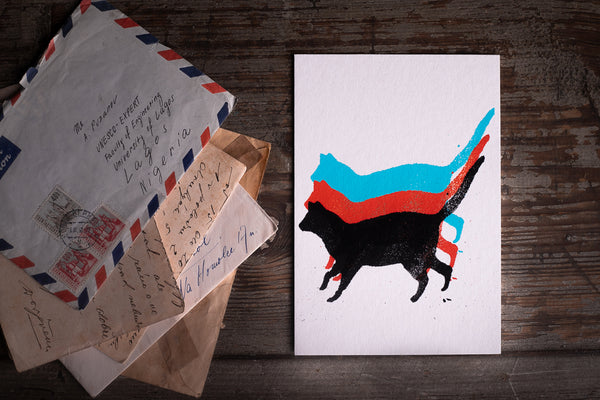 Fat cat - postcard - originální pohlednice
