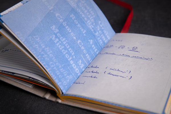 2024 Diary "Bubble girl" - S - originální diář