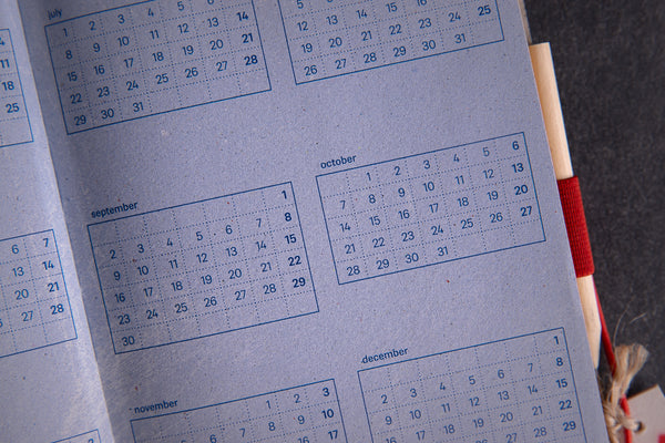 2024 Diary "Ice Ice baby" - Big - originální diář
