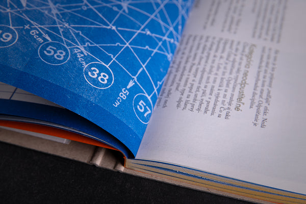 2024 Diary "Salmon" - Big - originální diář