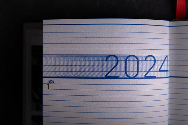 2024 Diary "Salmon" - Big - originální diář