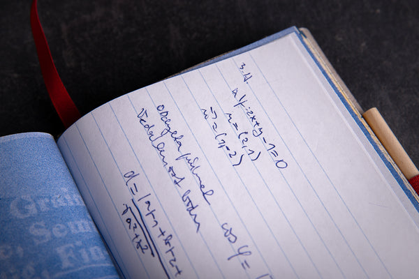 2024 Diary "Ice Ice baby" - Big - originální diář