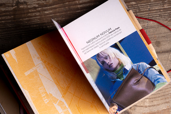 magazine-clipping-insert.jpg — Vintage fashion magazine clipping glued into a diary page
