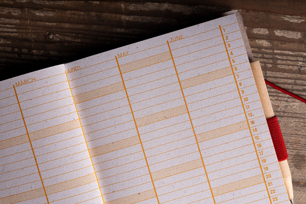 yearly-planner-overview.jpg — Open diary showing yearly overview pages for March through June