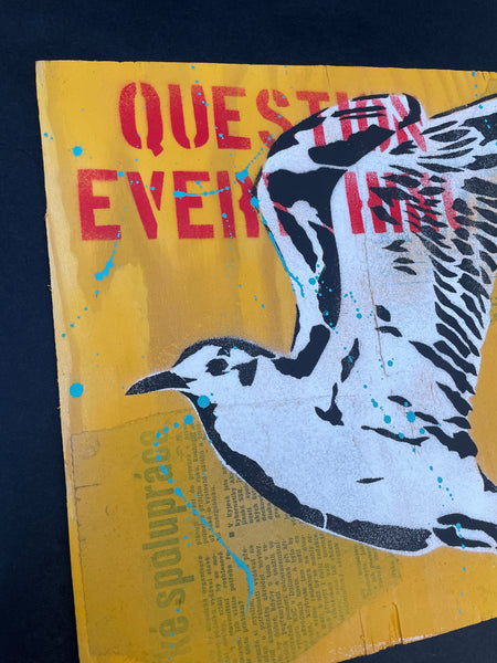 Seagull yellow - originální sprejovaný obraz