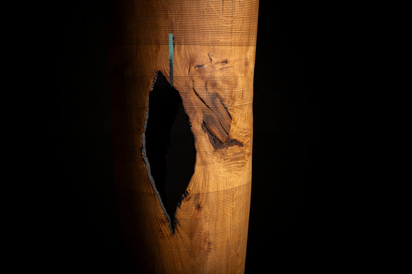 A close-up of a cylindrical wooden object with a large dark hollow  on the front, showing warm brown wood grain against a black background and also showing dark knot in the place where branch used to grow.
