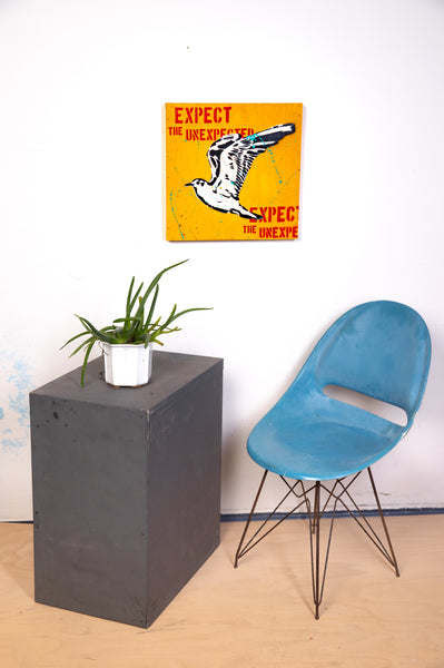 Seagull yellow - originální sprejovaný obraz