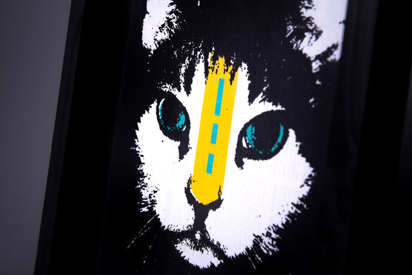 Cat original print with frame XL originální obrázek BLACK