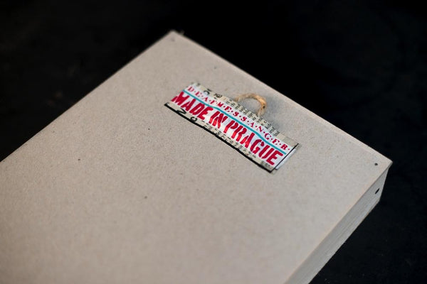 Expect the unexpected (seagull) - mini notebook with frame originální obrázek