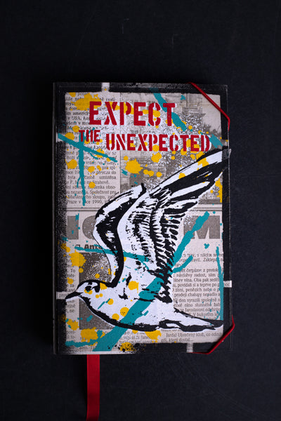 Expect the unexpected (seagull) - small notebook originální zápisník