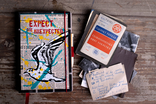Expect the unexpected (seagull) - medium notebook originální zápisník