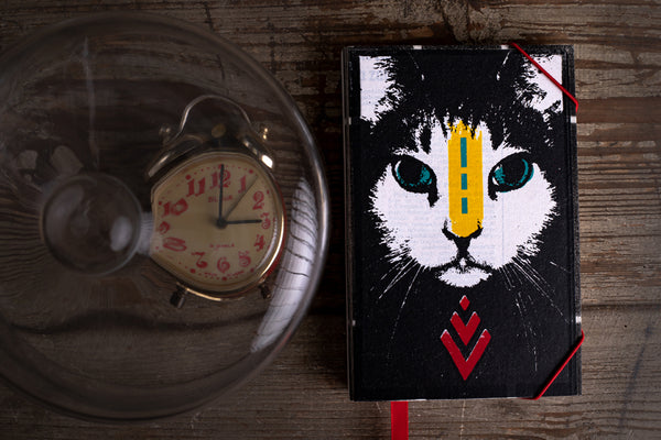 Cat - small