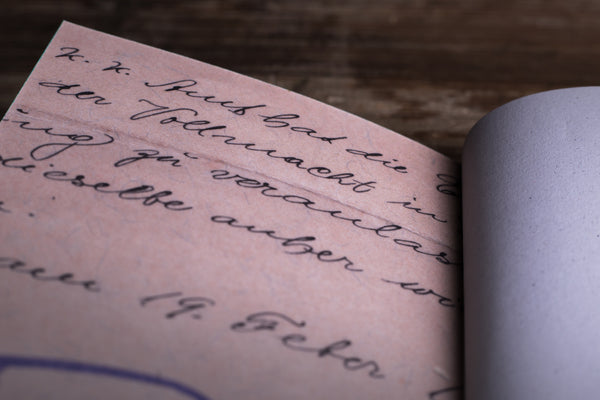 Wild Goose - basic - blank notebook