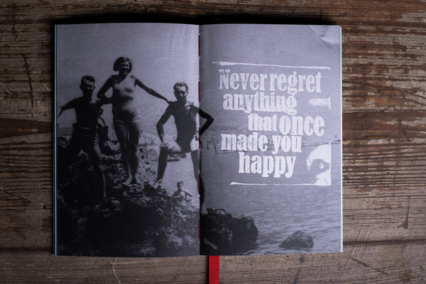 Wild Goose - basic - blank notebook