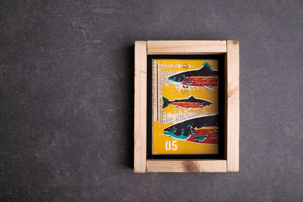 Salmon - print with frame S originální obrázek