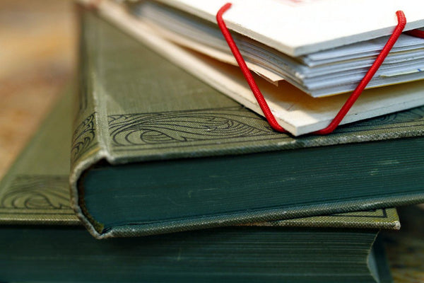 Wild goose - small notebook originální zápisník