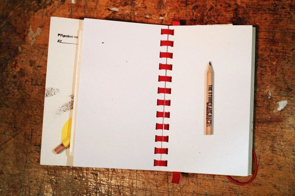 Meg and yellow cat - small notebook originální zápisník